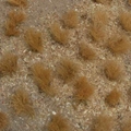 Meadow Sheet - Golden Grass