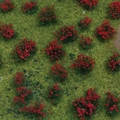 Meadow Sheet - Flowering Red
