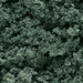 Foliage Cluster - Dark Green - WSFC59