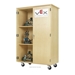 Robotics Cabinet - VXM-4424M