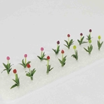WS00307 : Wee Scapes Tulips 1 - 2In 16 Pack