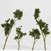 WS00309 : Wee Scapes Medium Green Foliage Tree 1.5" x 3" 24-Pack