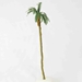 WS00329 : Wee Scapes Palm Trees 4" - 5" 3-Pack