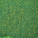 WS00365 : Wee Scapes Architectural Model 12" x 50" Blended Green Grass Mat