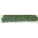 Green Hedges - MVWS00333
