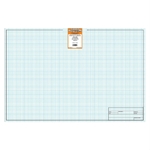 24 x 36 Vellum Sheets 1000HTS-10 - 10x10 Grid and Title Block 