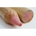Perfection Eraser Pencils - FC185698