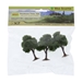 2.25" - 2.5" Deciduous Trees - MVWS00321