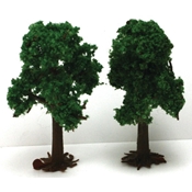 3" to 4" Light Green Deciduous Trees 