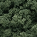 Bushes - Medium Green - WSFC146