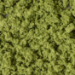Underbrush Groundcover - Light Green - WSFC135
