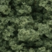 Clump Foliage - Medium Green - WSFC683
