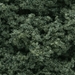 Clump Foliage - Dark Green - WSFC684
