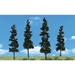 4" - 6" Conifer Trees - WSSP4151