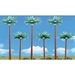 3" - 5" Palm Trees - WSSP4152